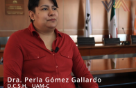 Dra. Perla Gómez Gallardo – Derecho a la información