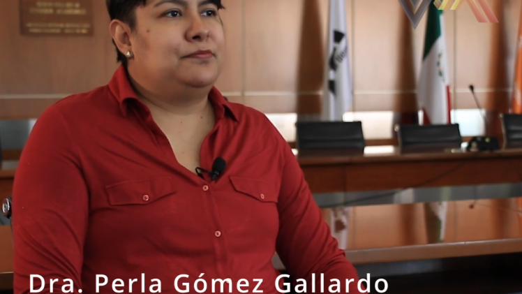 Dra. Perla Gómez Gallardo – Derecho a la información